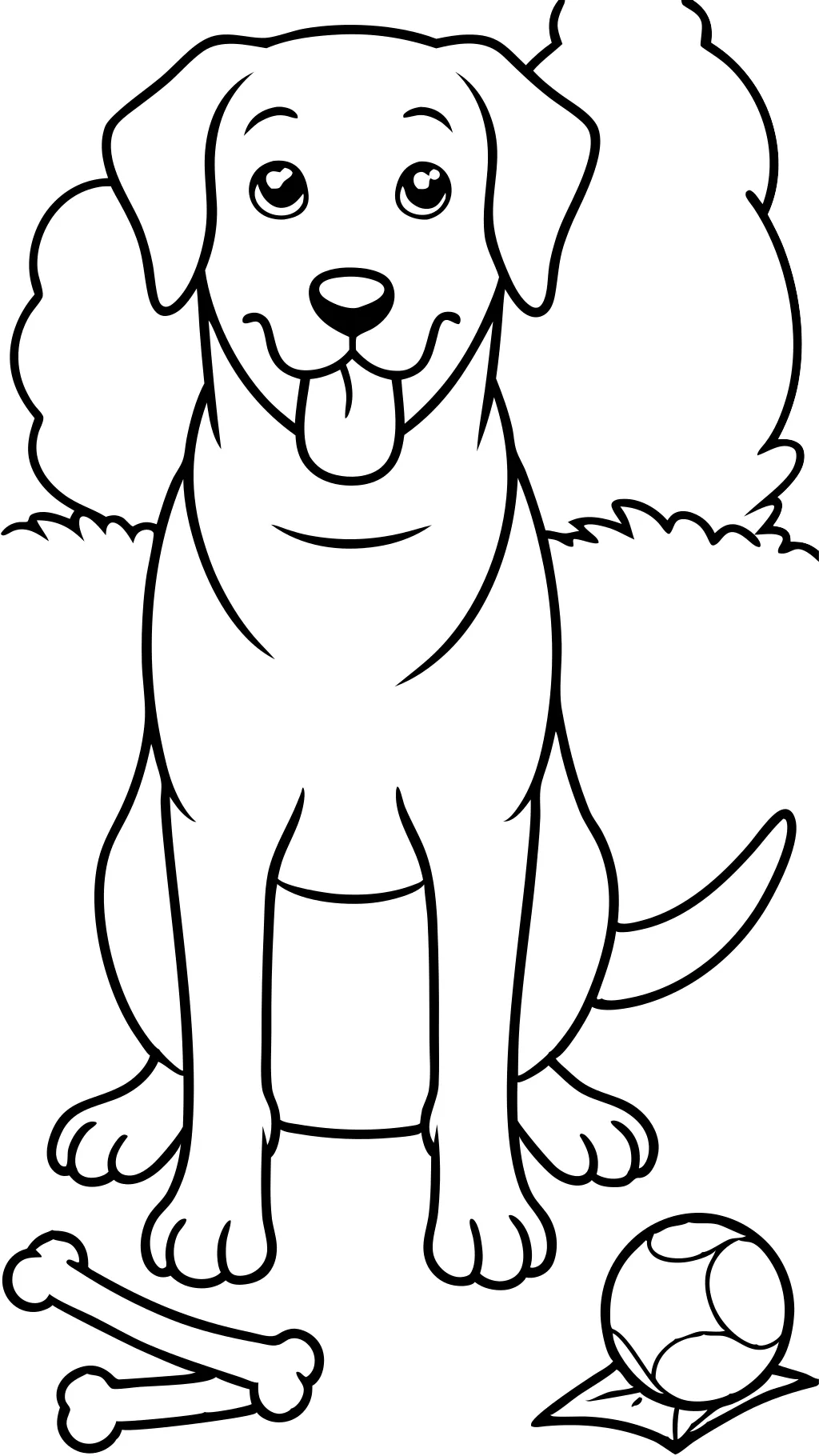 coloriage du labrador retriever